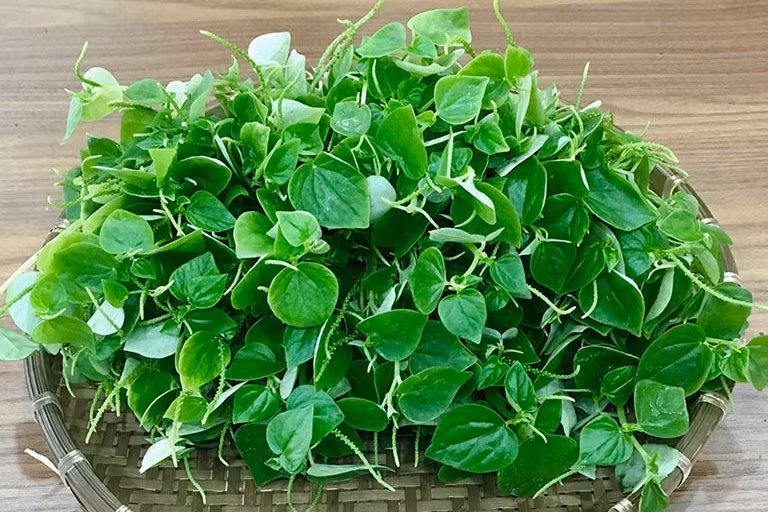 Loai rau dai chua chat ngan ngua te bao ung thu phat trien