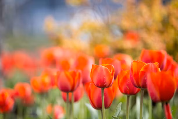 Gio sinh cua nguoi noi duoc lam duoc, tuong lai thanh dat