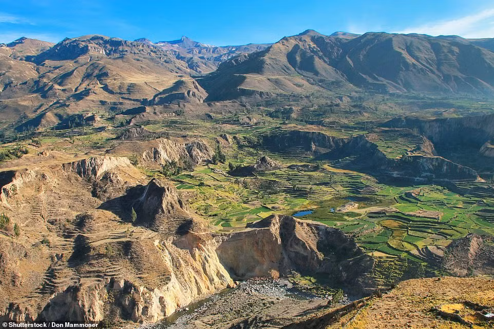 Hẻm núi Colca của Peru là một trong những điểm tham quan được ghé thăm nhiều nhất ở Peru. Đến với nơi đây, du khách không chỉ ngạc nhiên trước sự rộng lớn, hùng vĩ, mà còn ấn tượng với vùng đất nông nghiệp bậc thang trên các sườn núi và động vật hoang dã kỳ lạ, bao gồm lạc đà không bướu, báo và loài chim lớn nhất thế giới, loài Andean Condor.