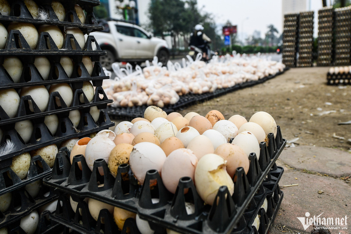 Những quả trứng bị dập được để vào khay riêng, giá từ 1.000-1.200 đồng/quả.