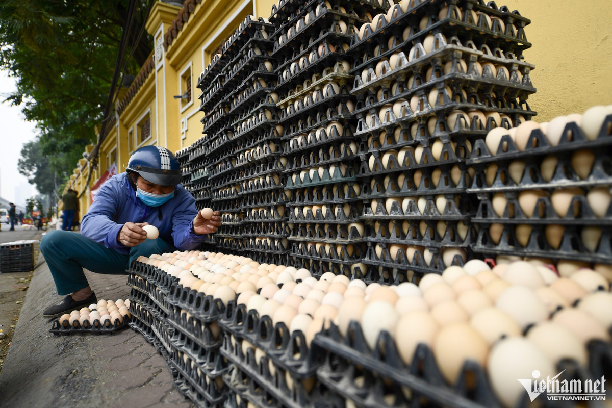 Đi dọc đường ghé qua, bà Nga (huyện Hoài Đức) mua 1 khay trứng. "Không biết chất lượng như thế nào nhưng thấy rẻ nên tôi mua về ăn thử xem sao", bà nói.