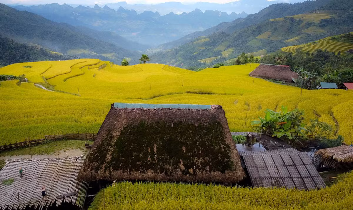 Sở dĩ những mái nhà nơi đây được phủ rêu bởi đặc thù địa hình núi cao, độ ẩm và mát mẻ quanh năm, mỗi tháng có tới trên dưới 20 ngày mưa nên tạo điều kiện rất thuận lợi để rêu tồn tại và phát triển. Ảnh: Nhóm Hà Giang Trẻ