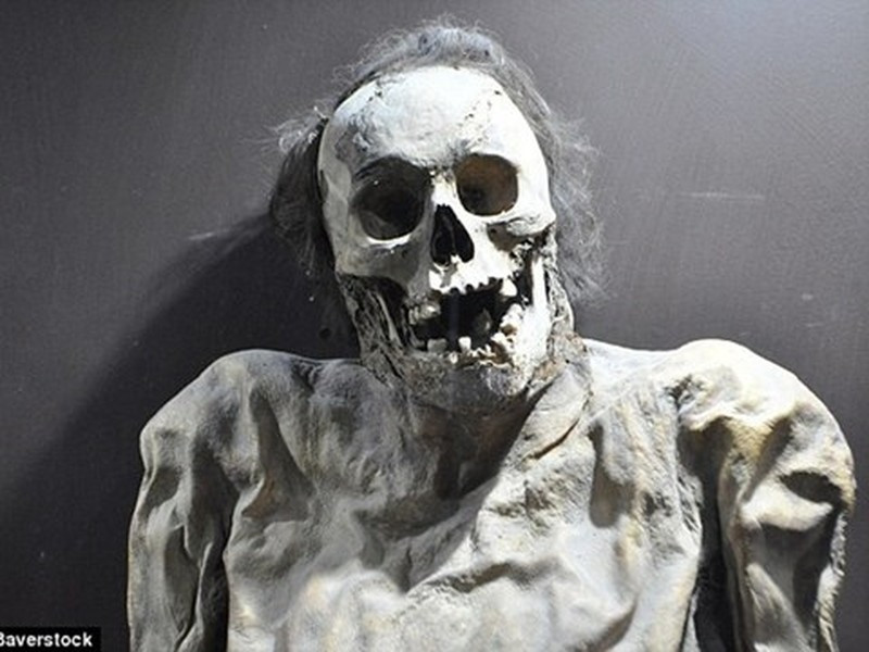  Xác ướp Guanajuato trông đều sợ hãi, hoảng hốt. Khi khai quật và phát hiện những xác ướp còn nguyên từ ngày xưa, các nhà khảo cổ thấy tất cả đều có gương mặt hoảng hốt, mới đầu họ tưởng rằng nguyên nhân là do sự sợ hãi cực độ khi bị chôn sống. Nhưng thật ra những xác ướp này là nạn nhân của bệnh dịch tả năm 1833. Họ được ướp xác tự nhiên nhờ khí hậu khô hạn.