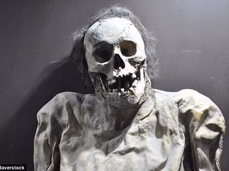  Xác ướp Guanajuato trông đều sợ hãi, hoảng hốt. Khi khai quật và phát hiện những xác ướp còn nguyên từ ngày xưa, các nhà khảo cổ thấy tất cả đều có gương mặt hoảng hốt, mới đầu họ tưởng rằng nguyên nhân là do sự sợ hãi cực độ khi bị chôn sống. Nhưng thật ra những xác ướp này là nạn nhân của bệnh dịch tả năm 1833. Họ được ướp xác tự nhiên nhờ khí hậu khô hạn.