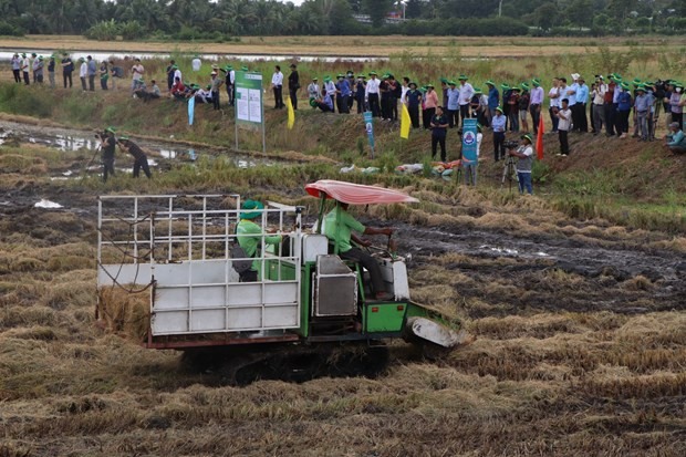 Tai su dung 24 trieu tan rom ra-Hinh-2