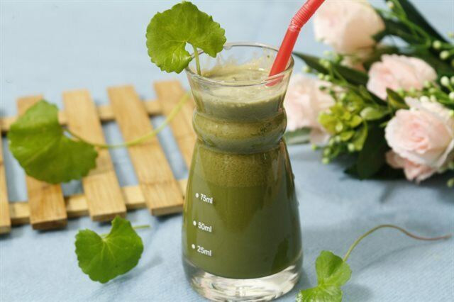 Loại rau "nhân sâm người nghèo", ăn cách này có thể hóa độc dược - Hình 3 Loai rau