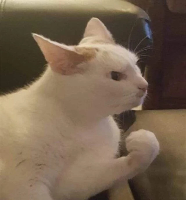 br/> Cố lên, tôi tin bạn sẽ làm được. Quyết tâm!