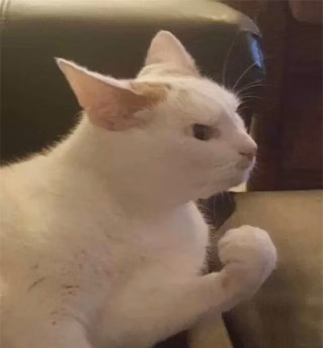 br/> Cố lên, tôi tin bạn sẽ làm được. Quyết tâm!