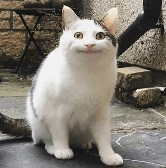 br/> Có những lúc mình chỉ cần nở một nụ cười thật tươi!