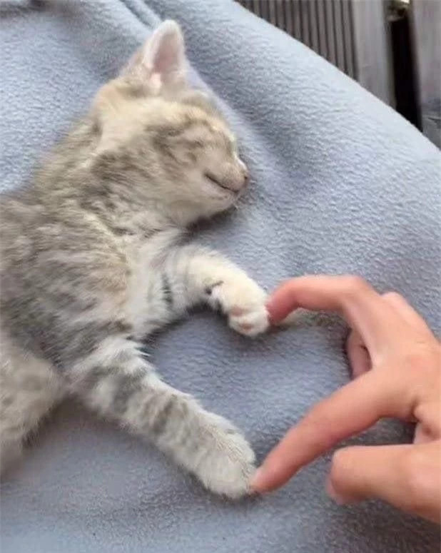 br/> Tặng bạn một trái tim, chúc mỗi ngày đều đong đầy yêu thương.