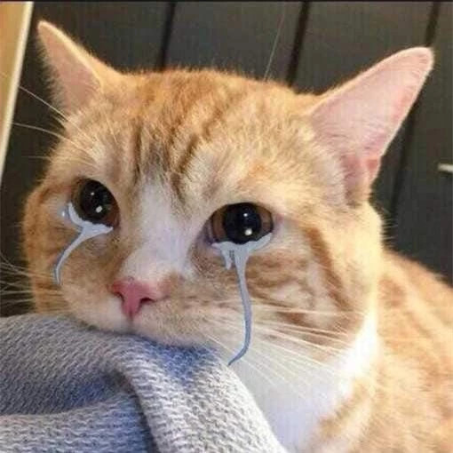 Hối hận quá. Nói giảm cân mà lỡ ăn ngày 5 cử rồi.