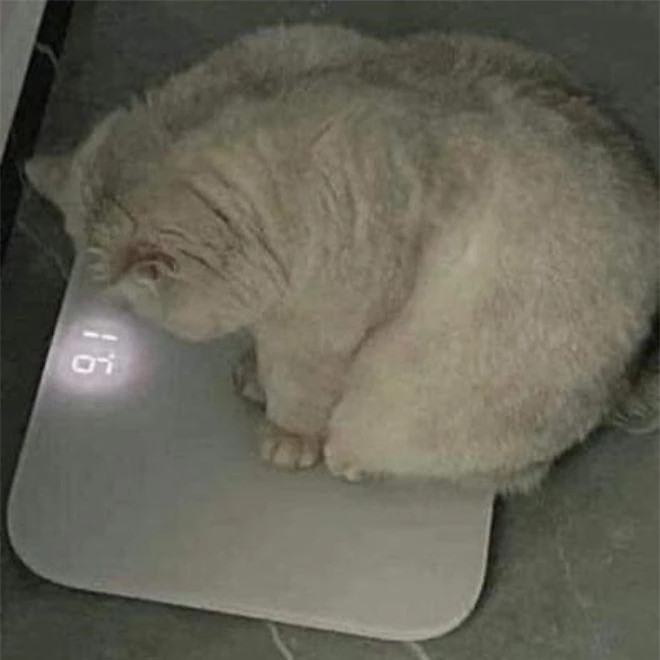 br/> Trầm cảm mỗi khi bước lên bàn cân, sao hít thở thôi cũng mập vậy?