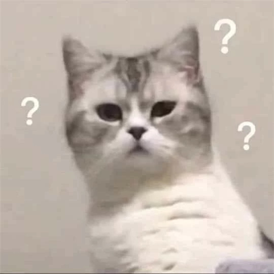 Cùng với nét biểu cảm đa dạng, boss mèo đang chiếm lĩnh kho hình meme của rất nhiều "con sen". Ngắm nhìn những khoảnh khắc hài hước này có thể giúp bạn bật cười thành tiếng, giải toả căng thẳng và lấp đầy một ngày bằng rất nhiều "vitamin đáng yêu".