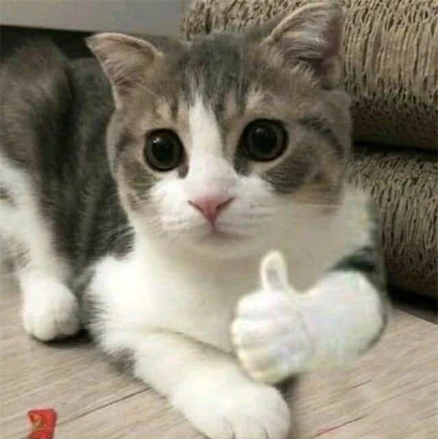 br/> Bạn là nhất! Bạn làm tốt lắm, tôi luôn tin tưởng bạn.