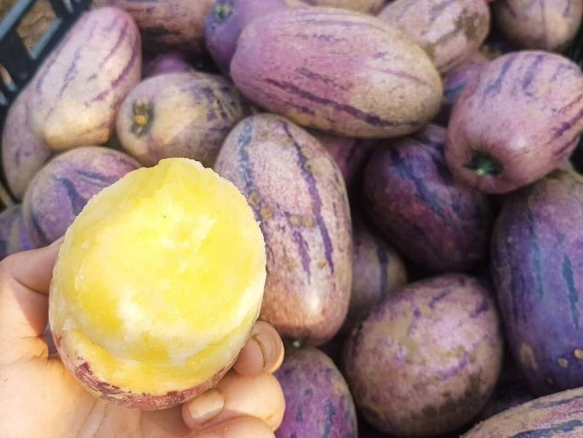 To mo qua dac san phien ban nha giau moi ra mat-Hinh-3