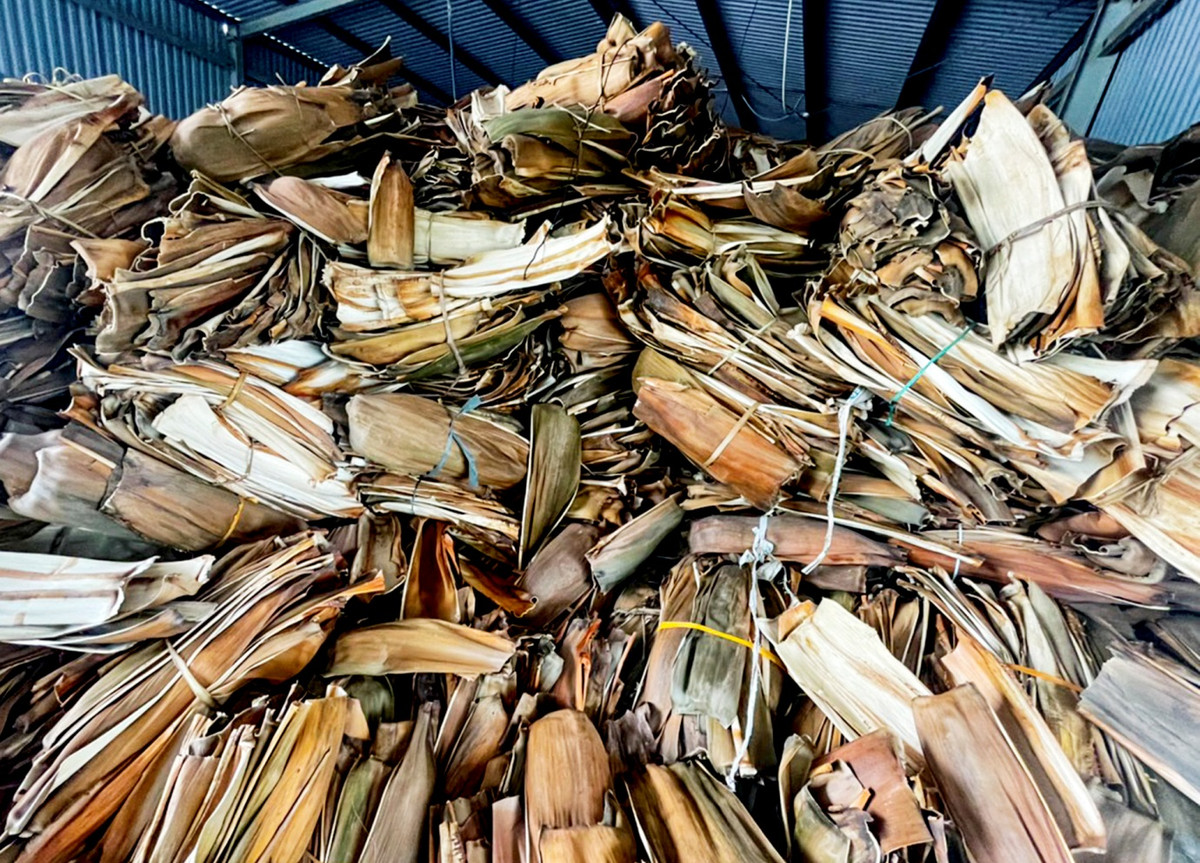 Chang trai bien mo cau thanh 