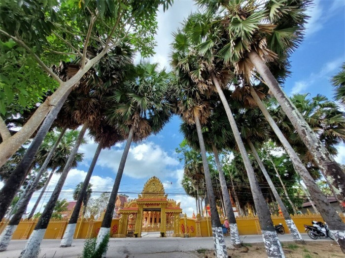 Đẹp nao lòng ngôi chùa cổ Sóc Trăng với vườn thốt nốt trăm năm tuổi ảnh 3 Đẹp nao lòng ngôi chùa cổ Sóc Trăng với vườn thốt nốt trăm năm tuổi ảnh 3