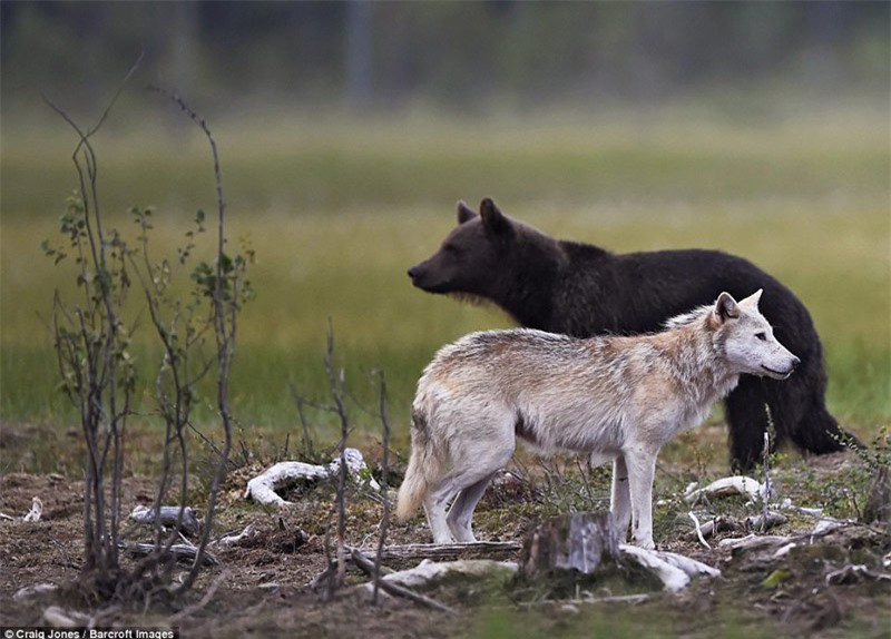 Giây phút tạm thời "đình chiến" giữa 2 bên.