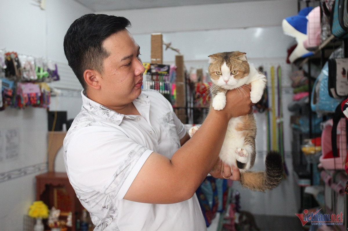 Bo lam y si, chang trai tre kiem nua ty dong/nam tu meo kieng