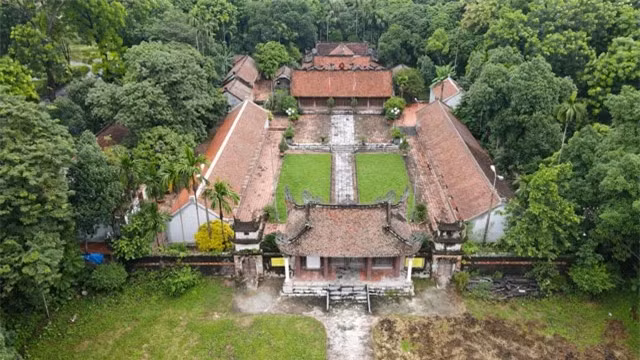 Bên cạnh cây sưa 100 tuổi, làng Quán Giá còn có 2 cây sưa cổ hàng trăm tuổi được người dân trong làng ví là những “khối vàng lộ thiên”. Khi hỏi về tuổi thọ của 3 cây sưa những cụ cao tuổi trong làng không có câu đáp án cụ thể:“Từ thời chúng tôi còn nhỏ cây sưa đã cao lớn tán sum suê, không ai biết cây được trồng vào khi nào”.