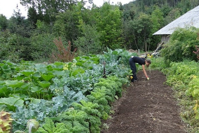"Bột ma thuật" giúp làm mát Trái đất - Hình 2 "Bột ma thuật" giúp làm mát Trái đất ảnh 2