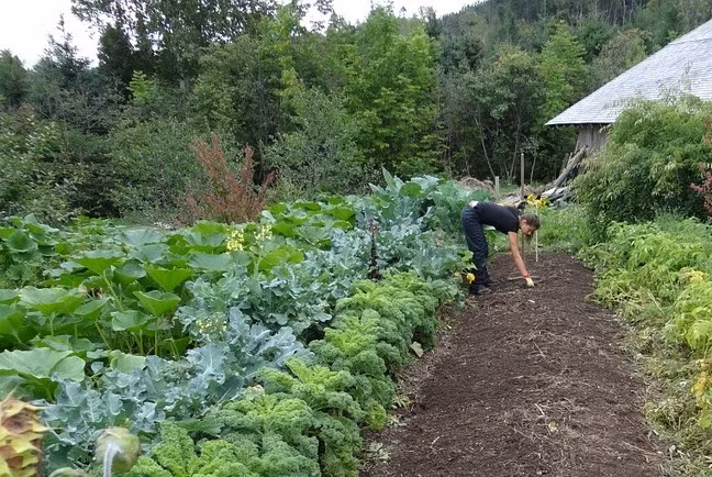 "Bột ma thuật" giúp làm mát Trái đất ảnh 2