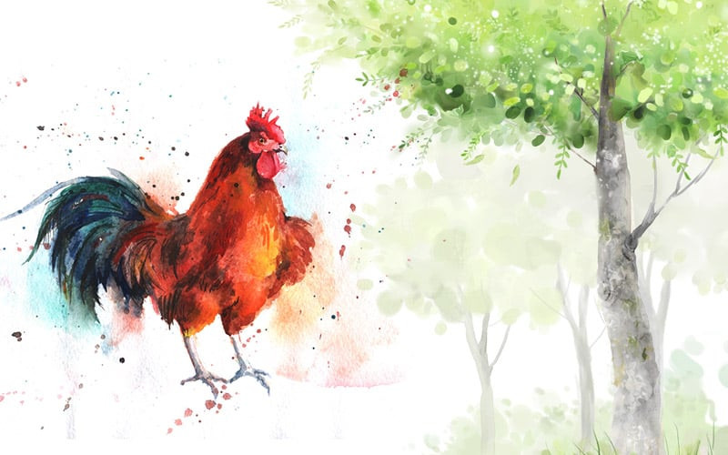 Trong tháng 11, họ sẽ không phụ lòng mọi người, đạt hiệu quả cao trong công việc, tăng thêm thu nhập, cơ hội làm giàu không xa.