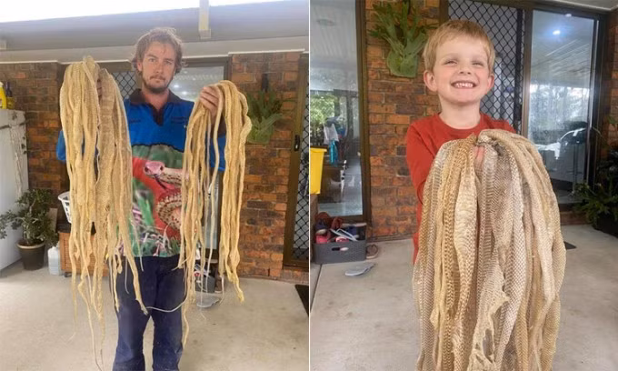 Kiểm tra gác mái, người đàn ông sốc nặng phát hiện thứ kinh dị Kiem tra gac mai, nguoi dan ong soc nang phat hien thu kinh di