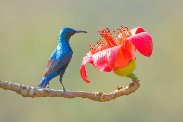 Ai sinh ngày Âm lịch này, tuổi trung niên đạt cả danh lẫn lợi - Hình 2 Ai sinh ngay Am lich nay, tuoi trung nien dat ca danh lan loi-Hinh-2