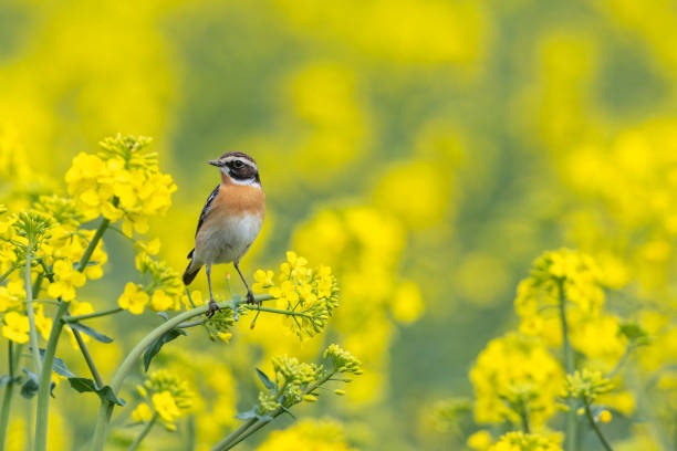Ai sinh ngày Âm lịch này, tuổi trung niên đạt cả danh lẫn lợi - Hình 3 Ai sinh ngay Am lich nay, tuoi trung nien dat ca danh lan loi-Hinh-3