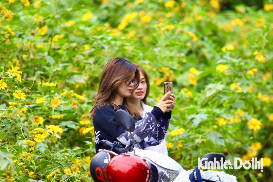 Hiện, giá vé vào Vườn Quốc gia Ba Vì là 60.000 đồng/người lớn/lượt, 20.000 đồng/sinh viên/lượt, 10.000 đồng/học sinh/lượt và vé ưu tiên 30.000 đồng/người/lượt (áp dụng đối với người già trên 60 tuổi, người tàn tật…). Giá vé gửi xe máy là 5.000 đồng/xe/lượt/điểm, xe đạp là 3.000 đồng/xe/lượt/điểm. Vé gửi ôtô được tính theo giờ, tùy hạng xe.