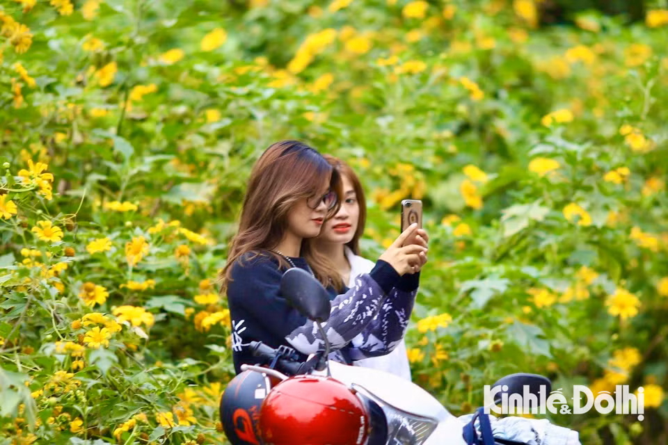 Hiện, giá vé vào Vườn Quốc gia Ba Vì là 60.000 đồng/người lớn/lượt, 20.000 đồng/sinh viên/lượt, 10.000 đồng/học sinh/lượt và vé ưu tiên 30.000 đồng/người/lượt (áp dụng đối với người già trên 60 tuổi, người tàn tật…). Giá vé gửi xe máy là 5.000 đồng/xe/lượt/điểm, xe đạp là 3.000 đồng/xe/lượt/điểm. Vé gửi ôtô được tính theo giờ, tùy hạng xe.