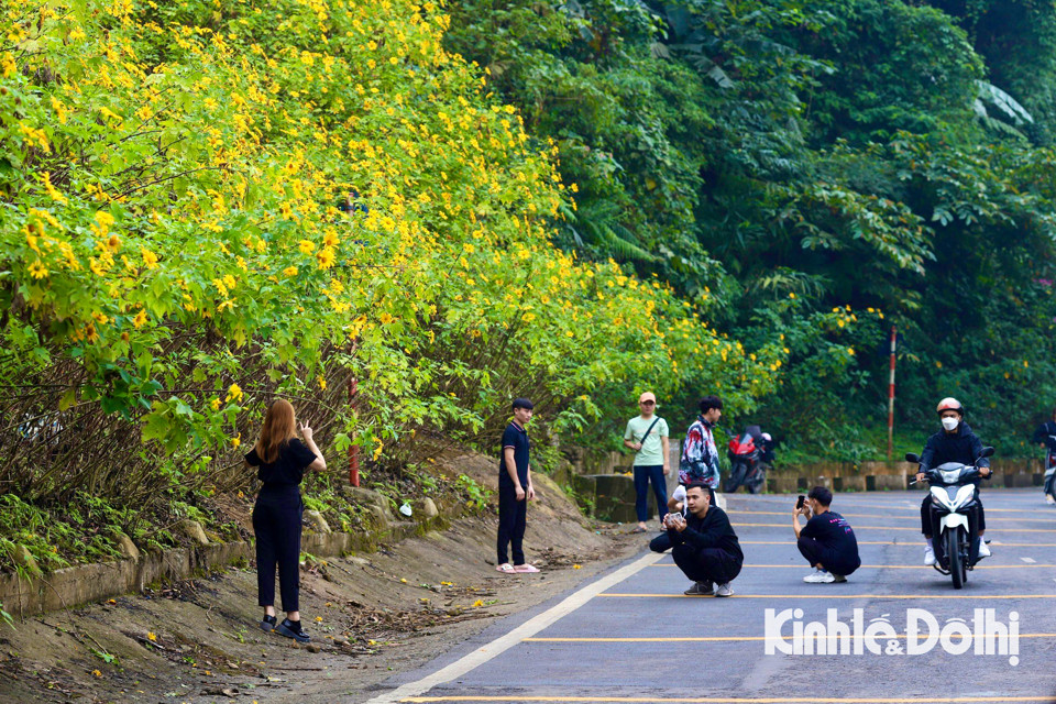 Tuy nhiên, người dân và du khách tới đây nên lưu ý về việc chụp ảnh đứng ngoài làn đường dành cho xe máy, ô tô khiến tiềm ẩn nguy cơ tai nạn giao thông không đáng có xảy ra.