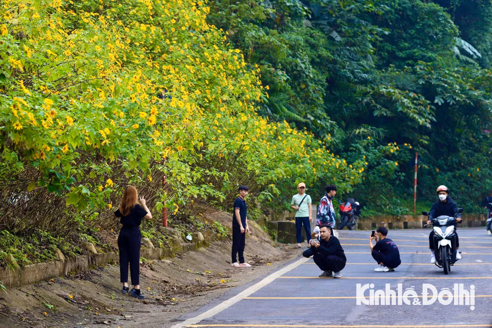 Tuy nhiên, người dân và du khách tới đây nên lưu ý về việc chụp ảnh đứng ngoài làn đường dành cho xe máy, ô tô khiến tiềm ẩn nguy cơ tai nạn giao thông không đáng có xảy ra.