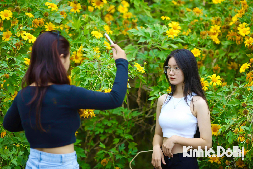 Đông đảo giới trẻ tới đây vừa kết hợp đi chơi, nghỉ ngơi và để check-in cùng hoa dã quỳ.