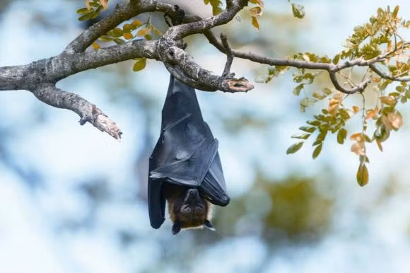 Tai sao bay gio loai doi nhu da tuyet chung?