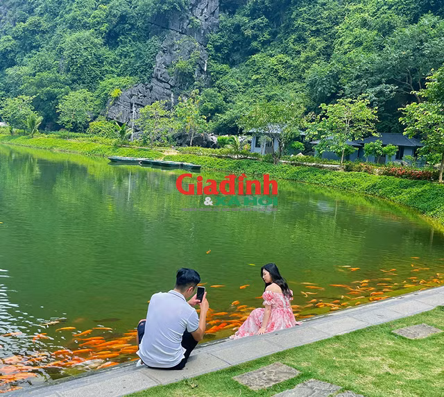 Ngoai dam sen Hang Mua, Ninh Binh co diem du lich noi tieng nay-Hinh-5