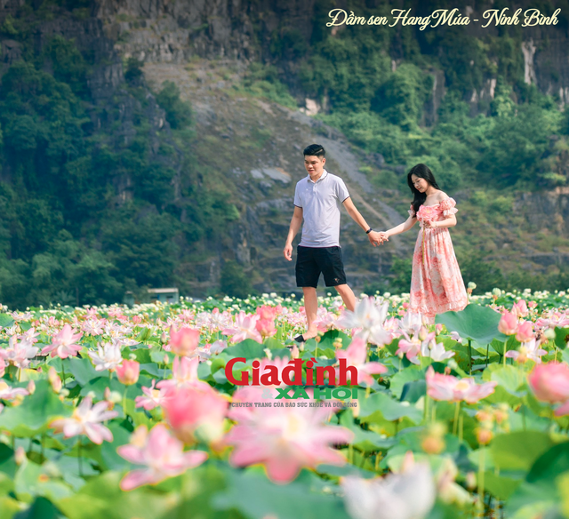Ngoai dam sen Hang Mua, Ninh Binh co diem du lich noi tieng nay