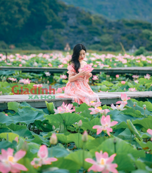 Ngoai dam sen Hang Mua, Ninh Binh co diem du lich noi tieng nay-Hinh-3