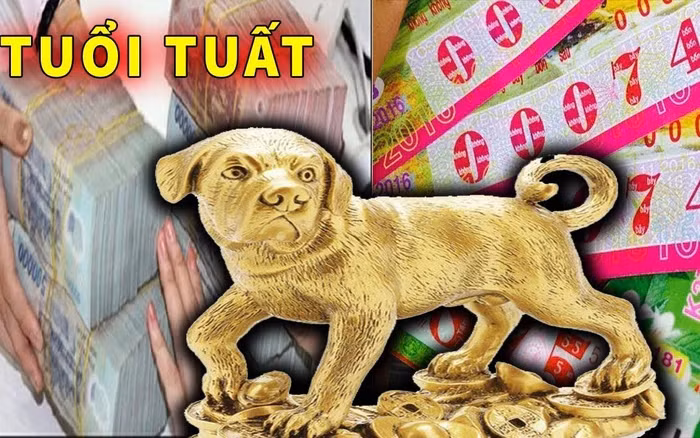 Trong vòng 7 ngày tới, thời cơ của người tuổi Tuất sẽ đến. Họ nhận được nhiều cơ hội thăng tiến trong sự nghiệp. Họ sẽ gặp muôn vàn những điều may mắn, tốt lành. Những người làm công ăn lương có sự nghiệp hưng vượng.