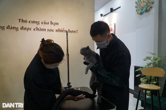 Khoi nghiep lam khach san thu cung, co gai kiem tien trieu moi ngay-Hinh-3