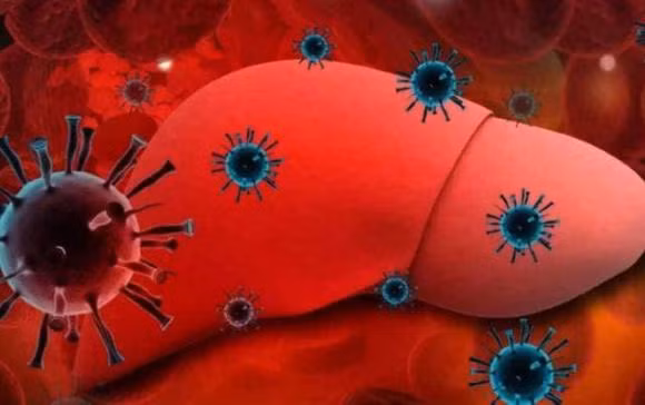 Hai bo phan co the bi 