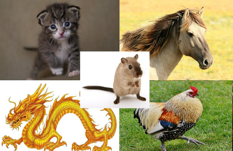 5 con giap pham Thai Tue nam 2023: Cach hoa giai de binh an