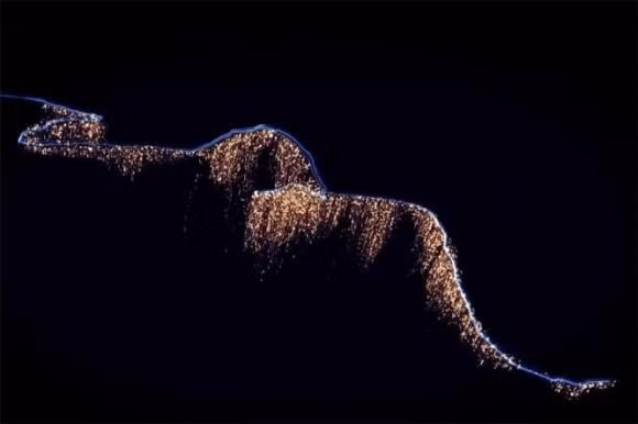 Sinh vat dai nhat the gioi, hon ca ca voi xanh-Hinh-11