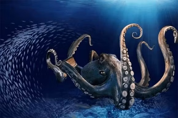 Sinh vat dai nhat the gioi, hon ca ca voi xanh-Hinh-4