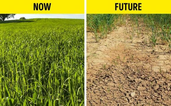 Bat ngo loai thuc pham chung ta khong the an lai trong tuong lai-Hinh-6