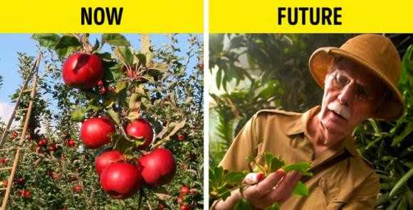 Bat ngo loai thuc pham chung ta khong the an lai trong tuong lai-Hinh-4