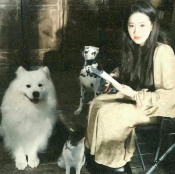 Lưu Diệc Phi luôn toả sáng ở khoảnh khắc đời thường như thế này nhờ vẻ đẹp cổ điển pha trộn nét hiện đại.