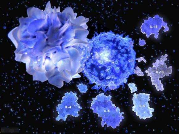 Thuong xuyen an trung luoc la bo gan hay hai gan?-Hinh-4