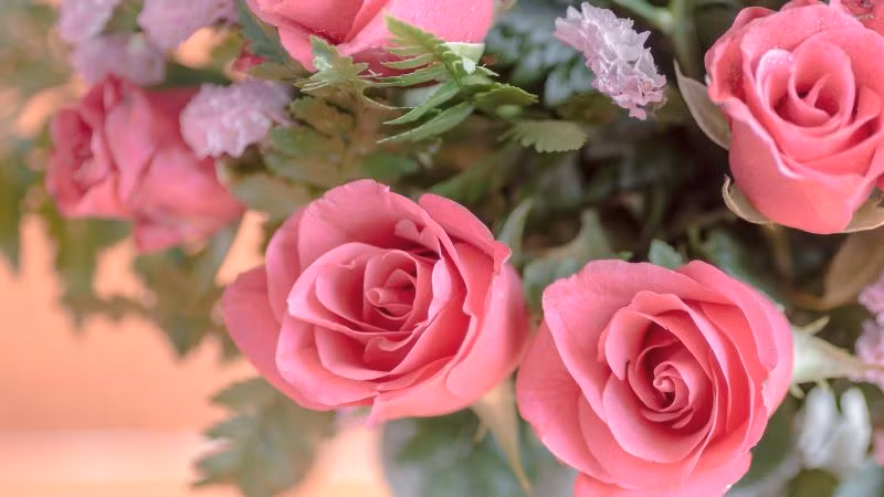 3 con giap vuot moi gian nan, vuong van quy nhan-Hinh-2